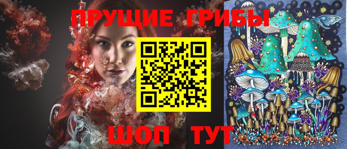 Сегежа  Галлюциногенные грибы Psilocybe  Вход с VPN  купить наркотики сайты  Псилоцибиновые грибы прущие грибы 